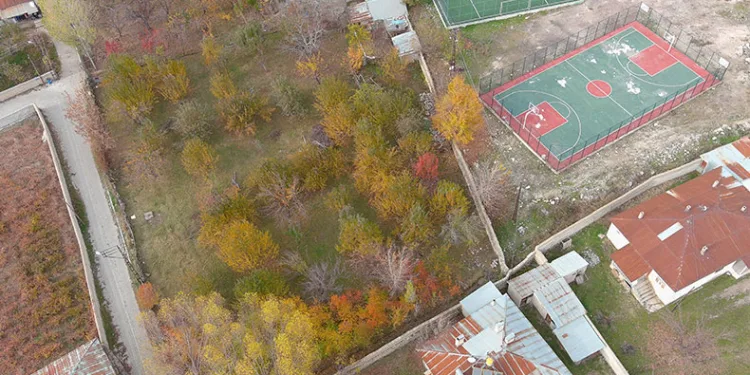Erciş’te sonbahar güzelliği
