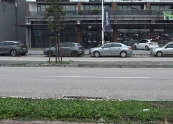 Canını hiçe saydı, kendini otomobilin önüne attı