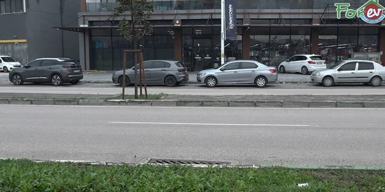 Canını hiçe saydı, kendini otomobilin önüne attı