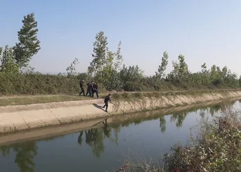 Sulama kanalında kadın cesedi bulundu