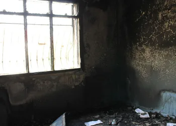 Çakmakla 10 yıllık birikim küle döndü