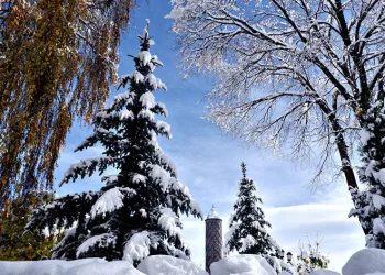 Erzurum’a karla gelen görsel şölen