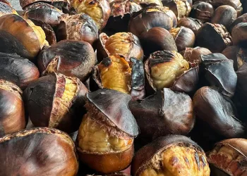 Gaziantep’te kestane sezonu başladı