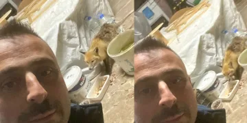 Bahçeye gelen tilkiyi elleriyle besledi