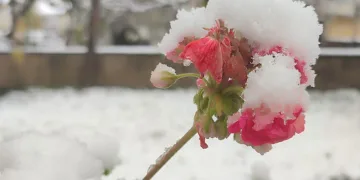 Fırtına ve yağmurdan sonra kar yağışı başladı