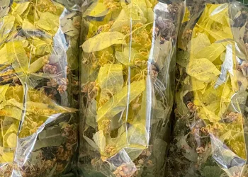 Fiyatı cep yaksa da vazgeçilmiyor