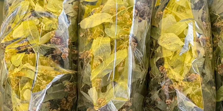 Fiyatı cep yaksa da vazgeçilmiyor