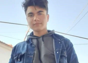 Kozalak toplarken akıma kapılan genç öldü