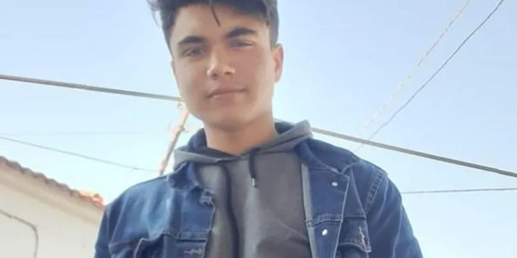 Kozalak toplarken akıma kapılan genç öldü