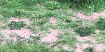 Fındık büyüklüğünde dolu yağdı