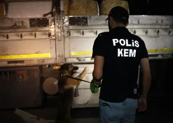 Saman çuvallarının arasında uyuşturucu sevkiyatı