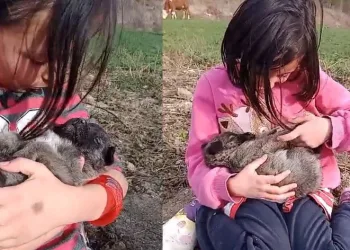 İkizlerden yürek ısıtan görüntü