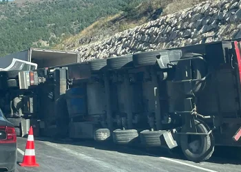 Paket tavuk yüklü tır devrildi, sürücüsü yaralandı