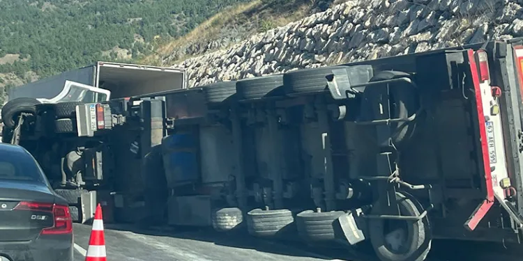 Paket tavuk yüklü tır devrildi, sürücüsü yaralandı