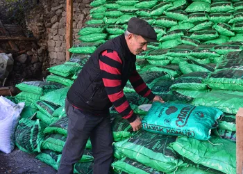 Soğuyan havalar kömür satışların artırdı