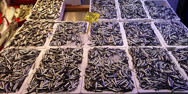 Fırtına hamsi fiyatlarını da uçurdu