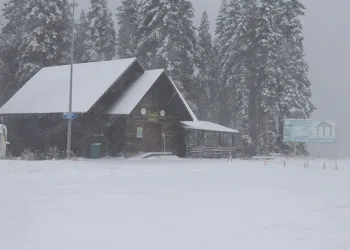 Ilgaz Dağı’nda yoğun kar yağışı