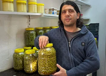 Sofraların vazgeçilmezi kırılmış yeşil zeytin