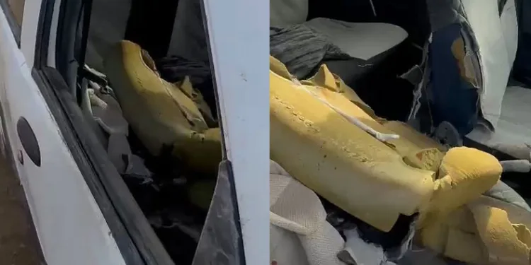 Aç ayı otomobilin camını kırıp içine girdi