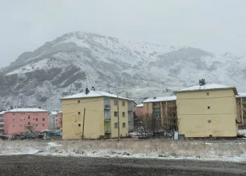 Tunceli’de kar yağışı hayatı olumsuz etkiledi