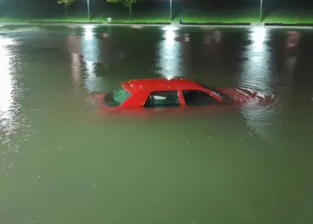Park halindeki aracını çıkarmak isterken gölete düştü