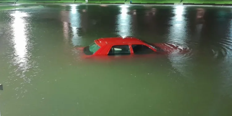 Park halindeki aracını çıkarmak isterken gölete düştü