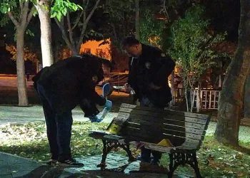 Kardeşlerin alacak-verecek kavgasında kan aktı