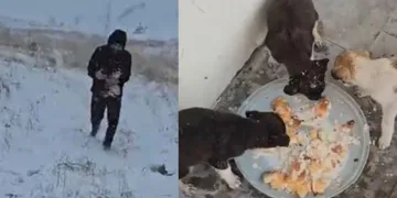 Donmak üzere olan yavru köpekler kurtarıldı