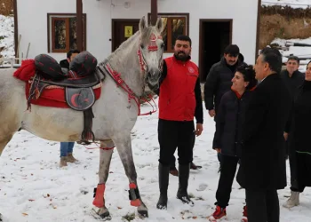 Öğretmenler at çiftliğini ziyaret etti