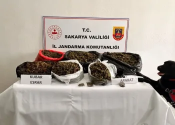 Sakarya’da 21 kilo esrar ele geçirildi: 1 tutuklama