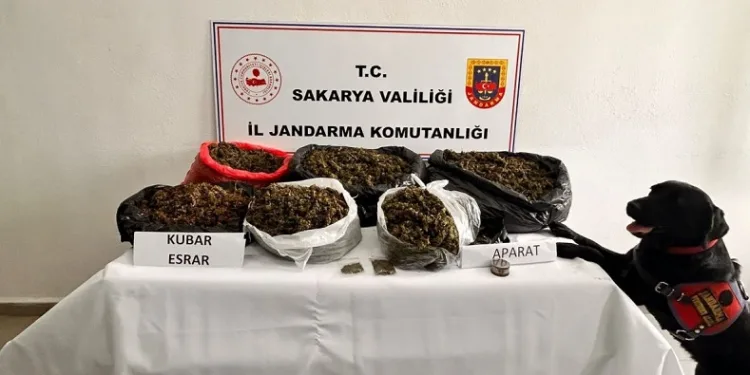 Sakarya’da 21 kilo esrar ele geçirildi: 1 tutuklama
