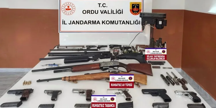 Ordu’da silah ve mühimmat kaçakçılığı operasyonuna 1 tutuklama
