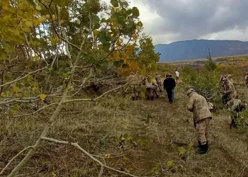 Bitlis’te kan donduran cinayet