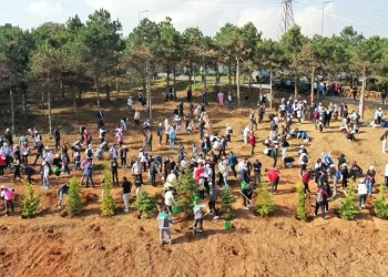 Cumhuriyetin 100. yılında 1923 fidan dikildi