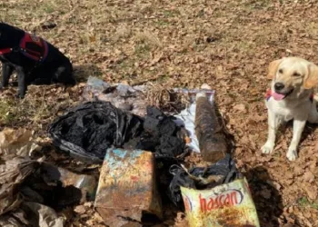 Muş’ta el yapım patlayıcı maddesi ele geçirildi
