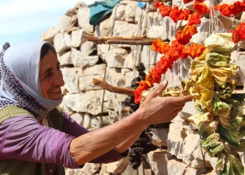 Kahramanmaraş’ta sebzeler kurutulup kışa hazırlanıyor