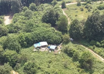Bursa’da dağda tek başına yaşıyor