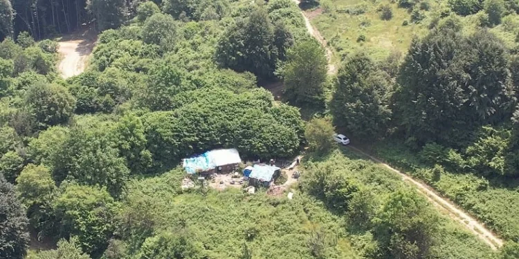 Bursa’da dağda tek başına yaşıyor