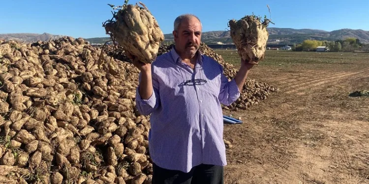 Sivas’ta yetişen dev pancarlar şaşırttı