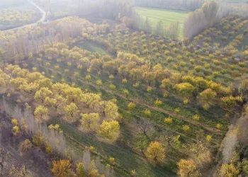 Iğdır’da sonbaharın son demleri göz kamaştırdı