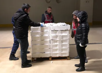 İstanbul’da kaçak avcılık yapan 24 kişiye 193 bin 246 TL idari para cezası kesildi