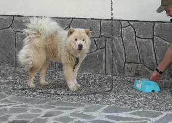 Minnet borcunu kendince ödeme yönetemi