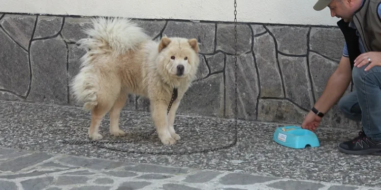 Minnet borcunu kendince ödeme yönetemi