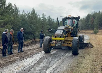 2024 Türkiye Ralli Şampiyonası Kars’tan start alacak