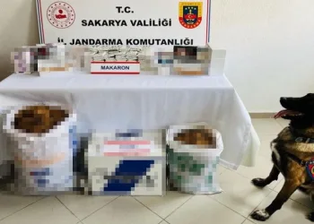 Jandarmadan kaçakçılık operasyonu: 2 gözaltı