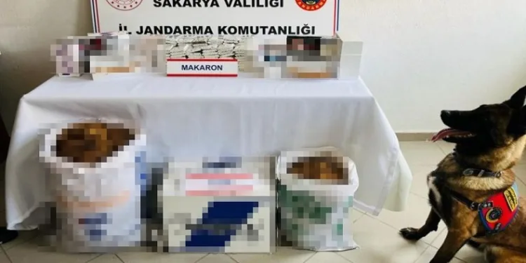 Jandarmadan kaçakçılık operasyonu: 2 gözaltı