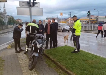 Hem ehliyetsiz, hem de sahte plakalı