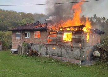 Yangında 2 ev kül oldu