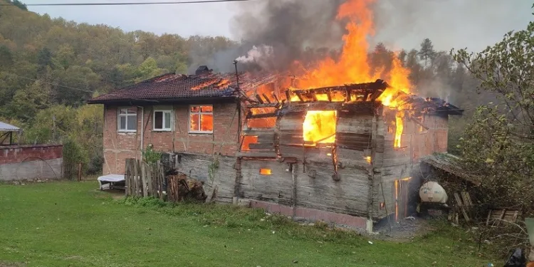 Yangında 2 ev kül oldu