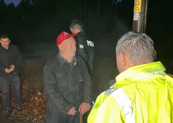 Mantar toplamaya çıktı, ormanda kayboldu